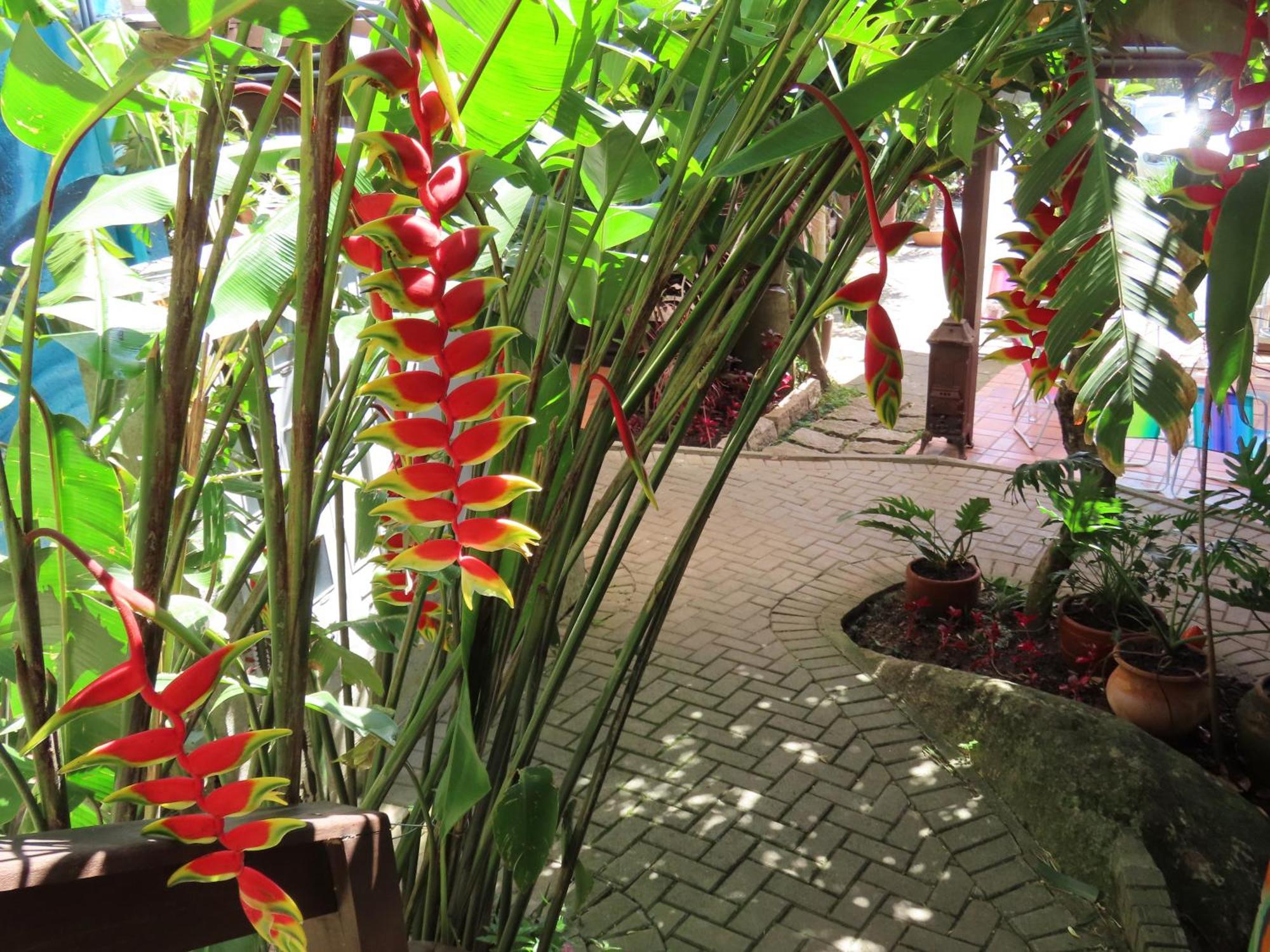 Patio Floriparadise Florianópolis Exteriör bild